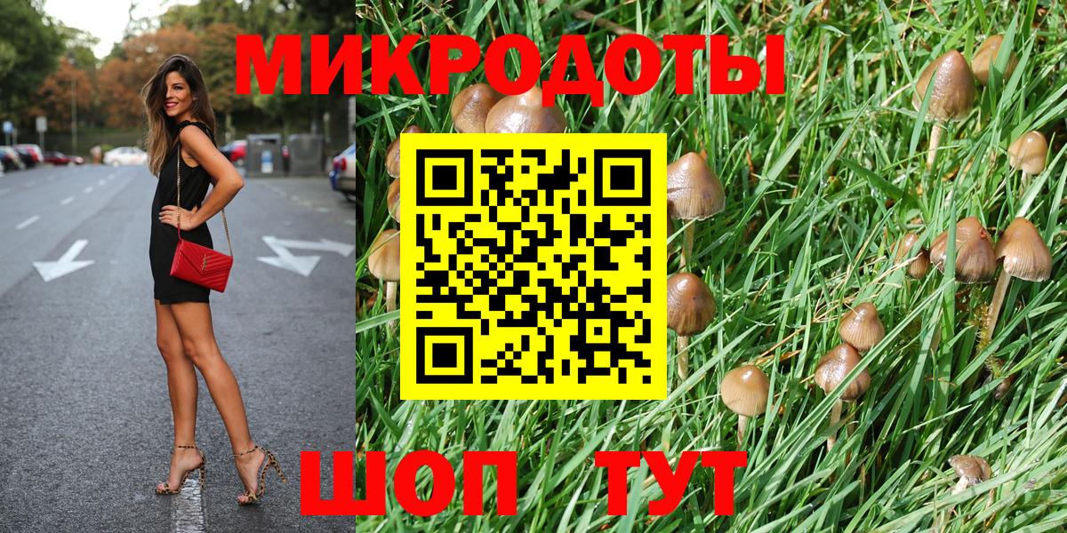 Галлюциногенные грибы мухоморы  Вход с VPN  Заречный 